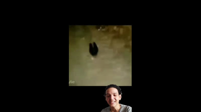 Si te ries pierdes ante lo celestial: El desafío que prueba tu resistencia