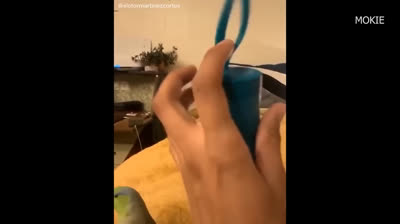 Si te ries pierdes: La compilación definitiva de risas que te alegrarán