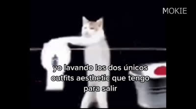 Si te ries pierdes: La recopilación más divertida de risas que necesitas