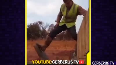 Desafío de humor: Si te ries pierdes - Risas aseguradas con estos videos