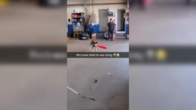 Si te ries pierdes: La compilación definitiva de risas que te harán sonreír