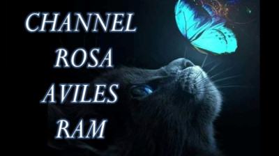 VÍDEO 165 - Casablanca - THE SOUL OF ANIMALS 3 - EL ALMA DE LOS ANIMALES - ROSARAM VÍDEOS