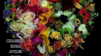 VÍDEO N: 157 - A Thousand Kisses Deep Leonard Cohen ? ROSARAM VÍDEOS