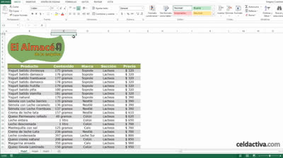 Vídeos de tutoriales de Excel Capítulo 26