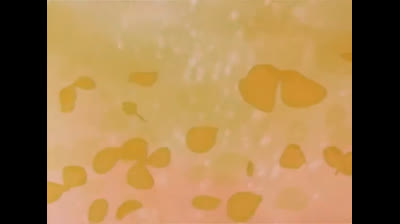 C'era una volta Pollon epi 17