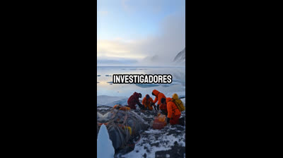 Desvela lo macabro con videos de miedo reales