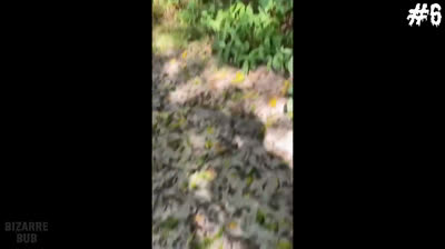 Scary Videos: The Trap of Madness