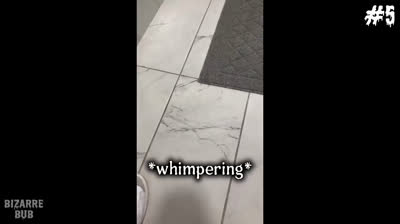 Videos de Miedo: La Sombra del Pasado