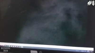 Videos de Miedo: La Presencia Inquietante