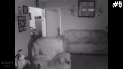 Videos de Terror: La Noche Eterna