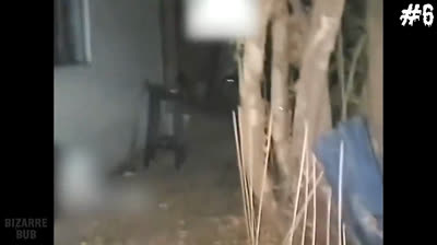 Horror Videos: The Dark Secret