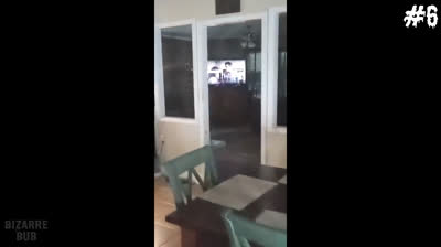 Videos de Terror: La Criatura del Bosque