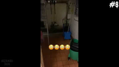 Videos de Miedo: La Noche del Despertar