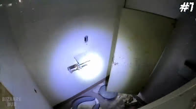 Videos de Terror: El Eco de los Lamentos