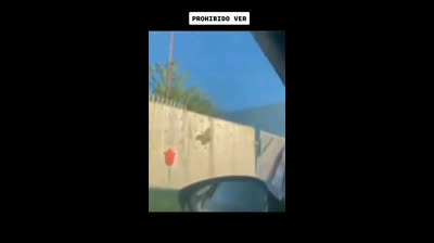 Encuentros Paranormales: Videos de Miedo Reales