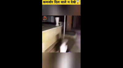 Sobreviviendo al Horror: Videos de Terror Reales