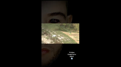 Escalofríos en Pantalla: Videos de Miedo Reales