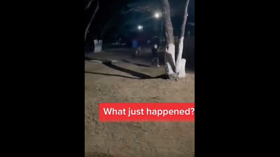 Terror en Vivo: Videos Reales de Miedo