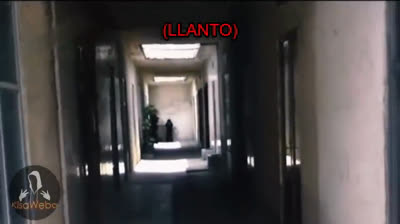 Pesadillas en Pantalla: Videos de Miedo Auténticos