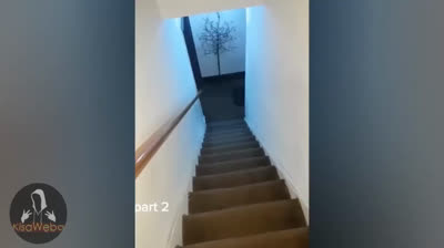 Horror Encubierto: Videos de Terror Documentados