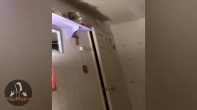 Ojos de la Oscuridad: Videos de Miedo en Cámara