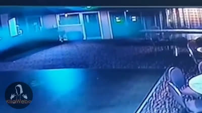 Impactantes Encuentros: Videos de Miedo en la Noche