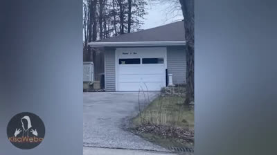 Revelaciones Terroríficas: Videos de Miedo Documentados