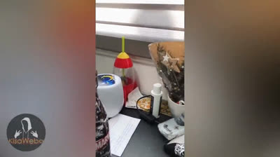 Pesadillas Urbanas: Videos de Miedo en la Ciudad