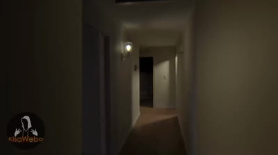 Despertares del Más Allá: Videos de Terror en la Realidad