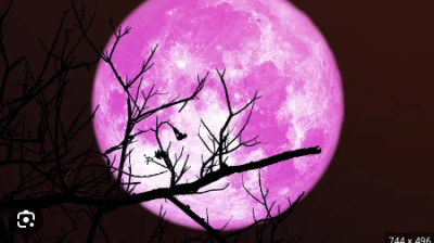 reacting to dhar man dad keeps his daughters high iQ score  secret