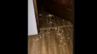 Verdadero Horror: Videos de Terror Sin Censura