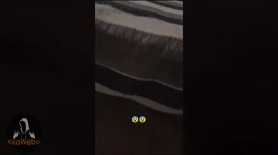 Encuentros Inquietantes: Videos de Terror en Cámara