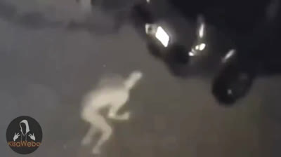 Investigación del Terror: Videos de Miedo Reales