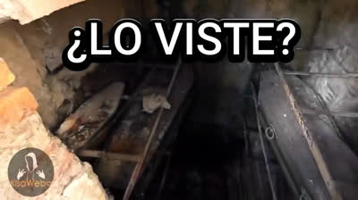 Retratos del Horror: Videos de Terror Auténticos