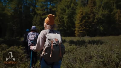 Misterios de Medianoche: Videos de Terror en Vivo