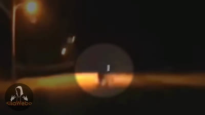 Impacto del Horror: Videos de Terror en Vivo