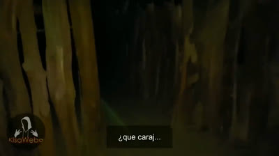 Siniestras Apariciones: Videos de Miedo en Pantalla