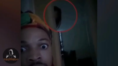 Revelaciones del Más Allá: Videos de Terror en Acción