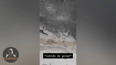 Escenas de la Noche: Videos de Terror en Vivo