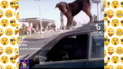 ESO ME PASA POR CHISMOSO