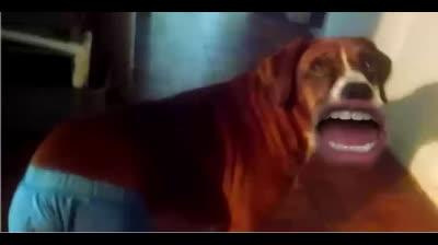 Markiplier Being a Furry