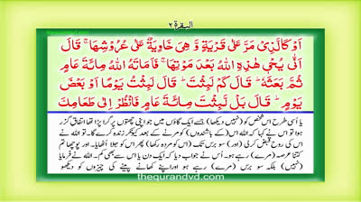 Para 3 - Juz 3 Tilka -r-rusul HD Quran Urdu Hindi Translation