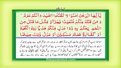 Para 7 - Juz 7 Wa idha sami u HD Quran Urdu Hindi Translation