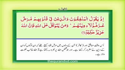 Para 10 - Juz 10 Wa A'lamu HD Quran Urdu Hindi Translation