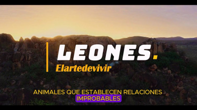 Leones