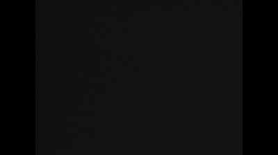 porky's pig  epi 08 nutty news