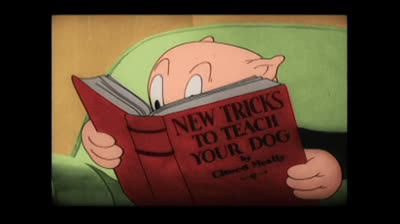porky pig 11 rover's rival