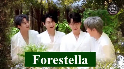 ?⭐ FORESTELLA "Ttanttala Blues ft 포레스텔라" -LUNCHSONG Project