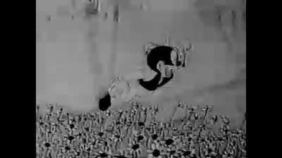 bosko the musketeer 1933