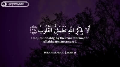 ساعتين متواصلة?? _ تلاوة تقشعر لها الأبدان بصوت عبد الرحمن مسعد _ Reciter Abdu